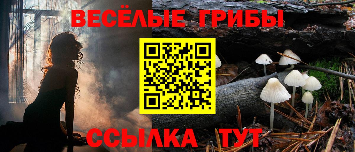 Псилоцибиновые грибы Magic Shrooms Балашиха